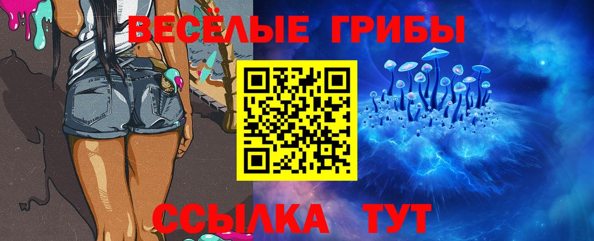 Галлюциногенные грибы мухоморы Долгопрудный